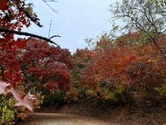 -香山公园