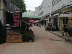 -登发花鸟鱼虫市场