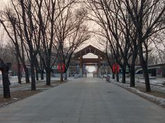 -野鸭湖国家湿地公园