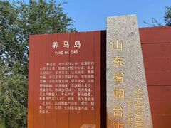 -养马岛旅游度假区