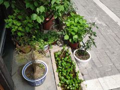 -随柳居·苏式小吃(建新巷店)