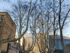 -西安电影制片厂