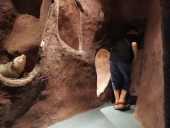 -陕西自然博物馆