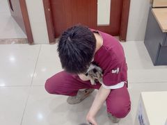 -艾贝尔宠物医院·24H转诊中心·肿瘤猫专科(江宁双龙店)