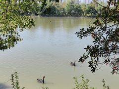 -艾溪湖湿地公园