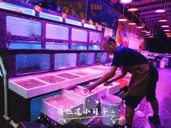 -长平肥姐白粥·海鲜打冷