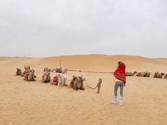 -银肯塔拉沙漠生态旅游景区