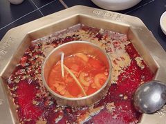 -蜀九香火锅(彩虹店)