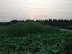 -昆山城市生态森林公园