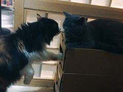 -小时光咖啡馆(开森度假森林店)