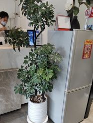 -LJOY丽锦造型·烫发染发