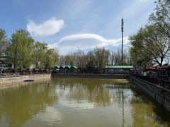 -尚庄度假村·庭台树下·户外烧烤·团建CS·轰趴营地(上庄水库店)