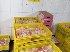 -老袁家蜜桃农场·阳山水蜜桃