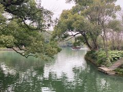 -西溪国家湿地公园