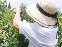 -金谷域澳洲庄园