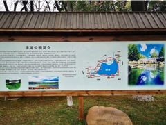 -洛龙公园
