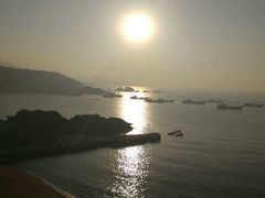 -枸杞岛