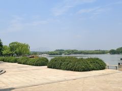 -石家庄市植物园