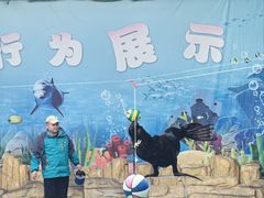 -合肥野生动物园