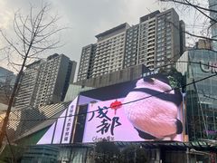-合景·悠方(成都店)