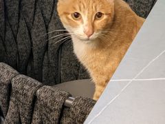 -叁 Three· bistro餐酒馆