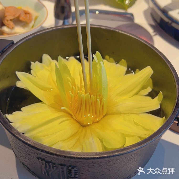 北京素食餐厅 | 素星人的首选如心妙膳