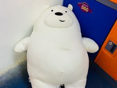 -绍兴启迪乔波冰雪世界