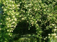 -南京市无想山景区