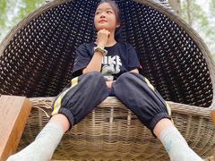 -黄海国家森林公园