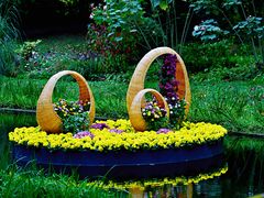 -上海共青森林公园