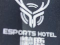 -懒鹿智能电竞酒店(蜀汉路店)