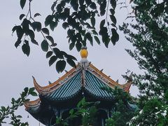 -望江楼公园