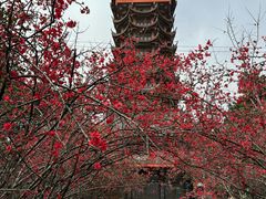 -塔子山公园
