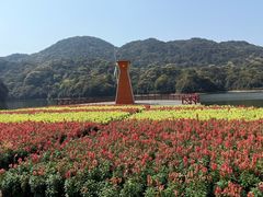 -广州市石门国家森林公园