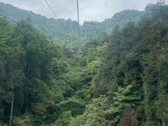 -青城山