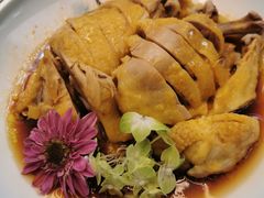 -张鸟园农家乐(张鸟园店)