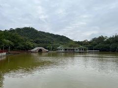 -大雁山风景区
