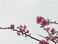 -龟山风景区-龟山电视塔