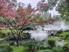 -杭州西湖柳莺里酒店·闻莺厅