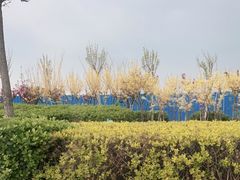 -天津东疆湾沙滩景区