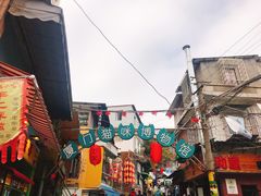 -猫咪博物馆(顶澳仔猫街店)