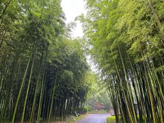-苏州环秀晓筑养生度假村