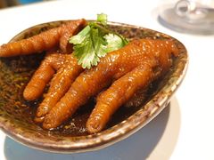 -点都德·毕德寮