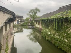 -鲁镇