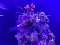 -厦门海底世界