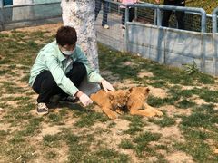 -大连森林动物园