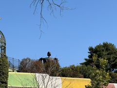 -三鹰之森吉卜力美术馆