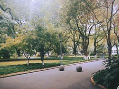 -上海大学(嘉定校区)