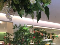 -Aqua Oasis 水天堂(太湖中心mall店)