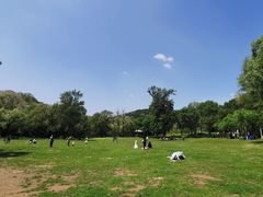 -高尔山公园